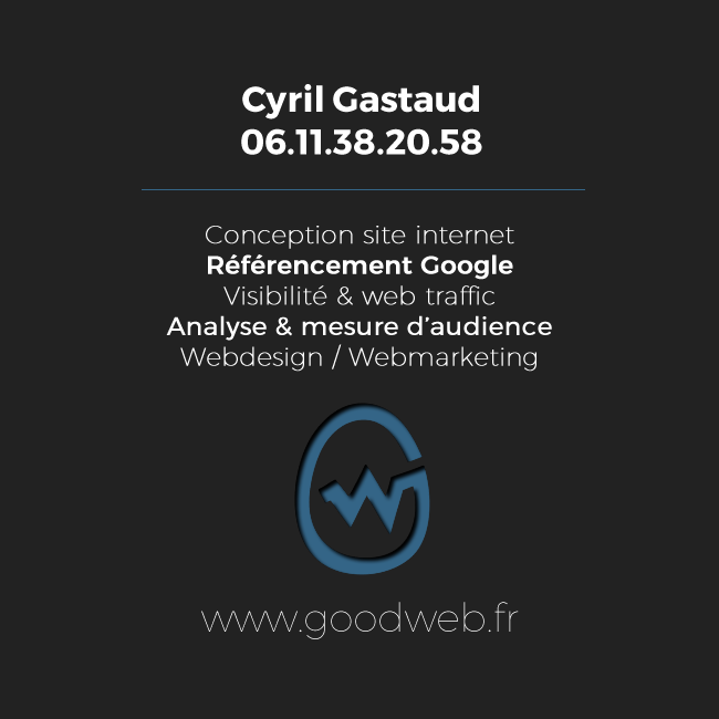 verso carte visite goodweb